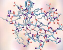 UTILIDAD DE LOS ANÁLISIS BIOQUÍMICOS EN ANIMALES DE PRODUCCIÓN