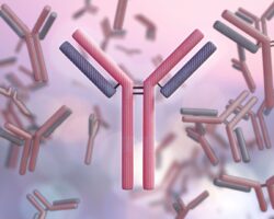 SEROLOGÍA: FUNDAMENTOS E INTERPRETACIÓN