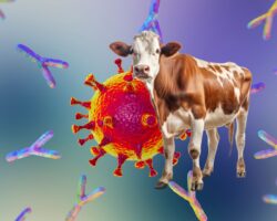 SEROLOGÍA BOVINA: APLICACIÓN PRÁCTICA DE LOS RESULTADOS LABORATORIALES